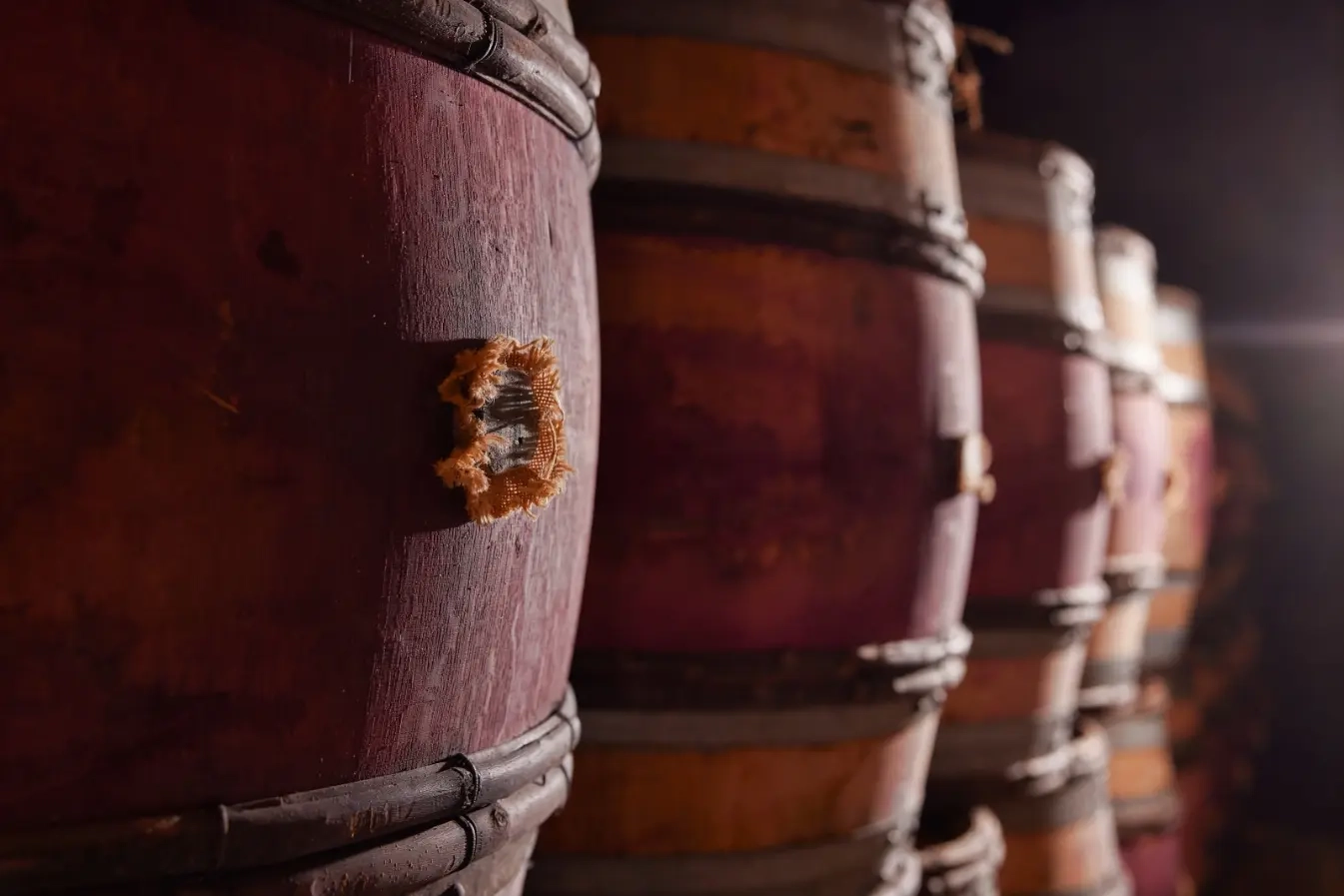 background - Domaine G. Roumier